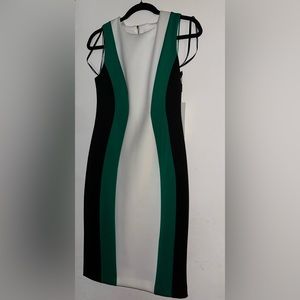 NWT Calvin Klein Dress